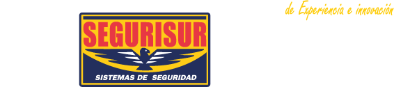 SEGURISUR - Sistemas de Seguridad a medida